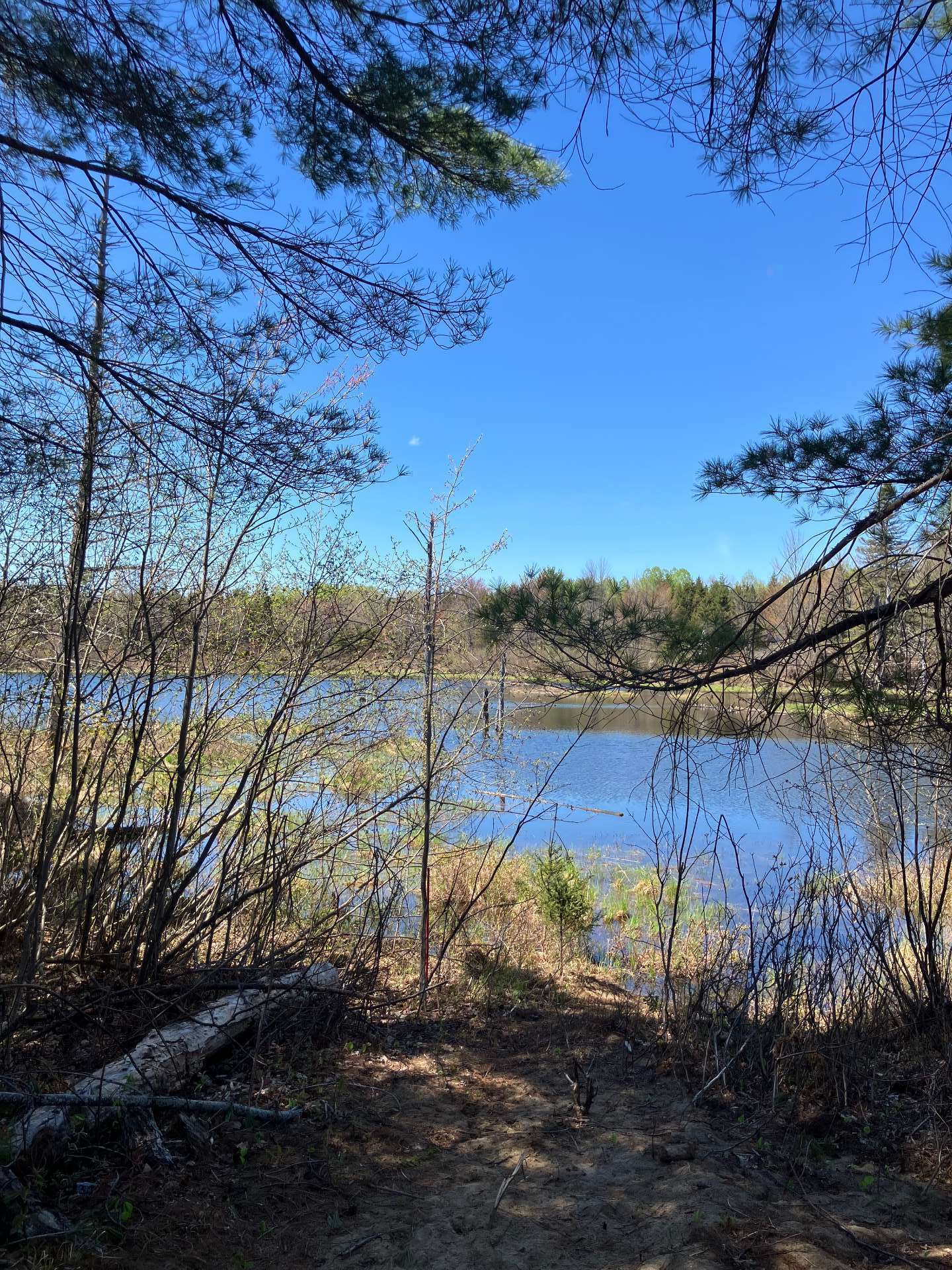 Water view