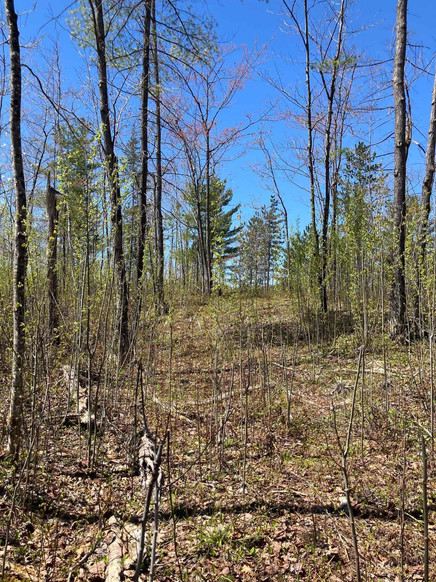 Land/Lot