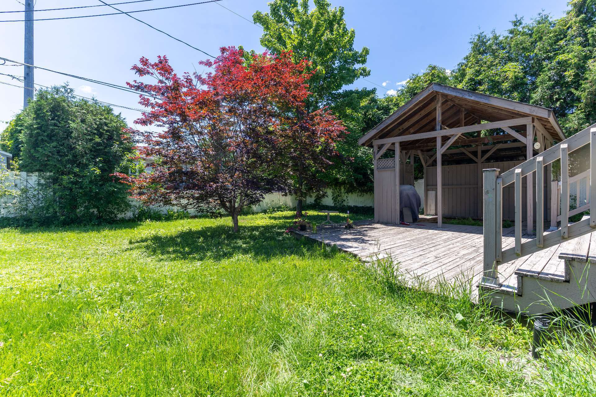 Backyard