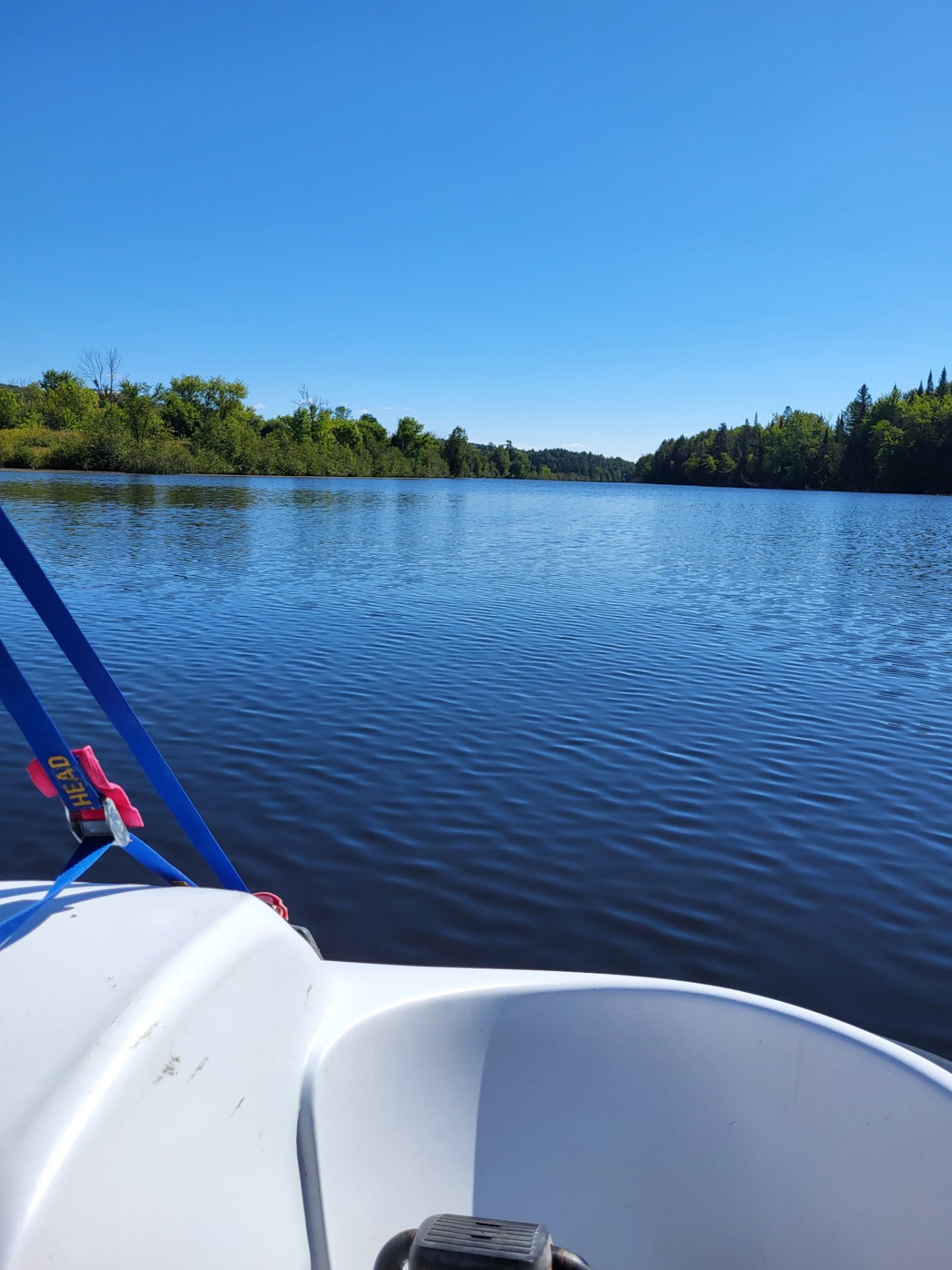 Bord de l'eau