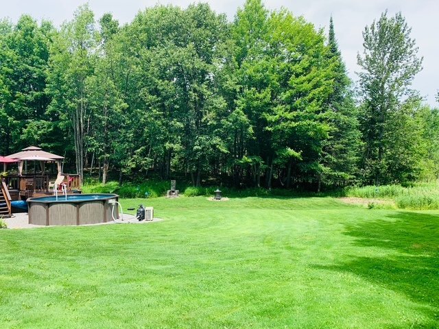 Cour - Photo d'été du client