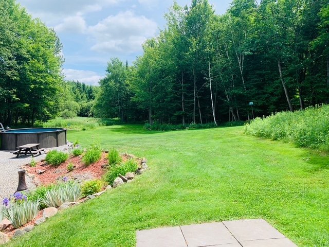 Cour - Photo d'été du client