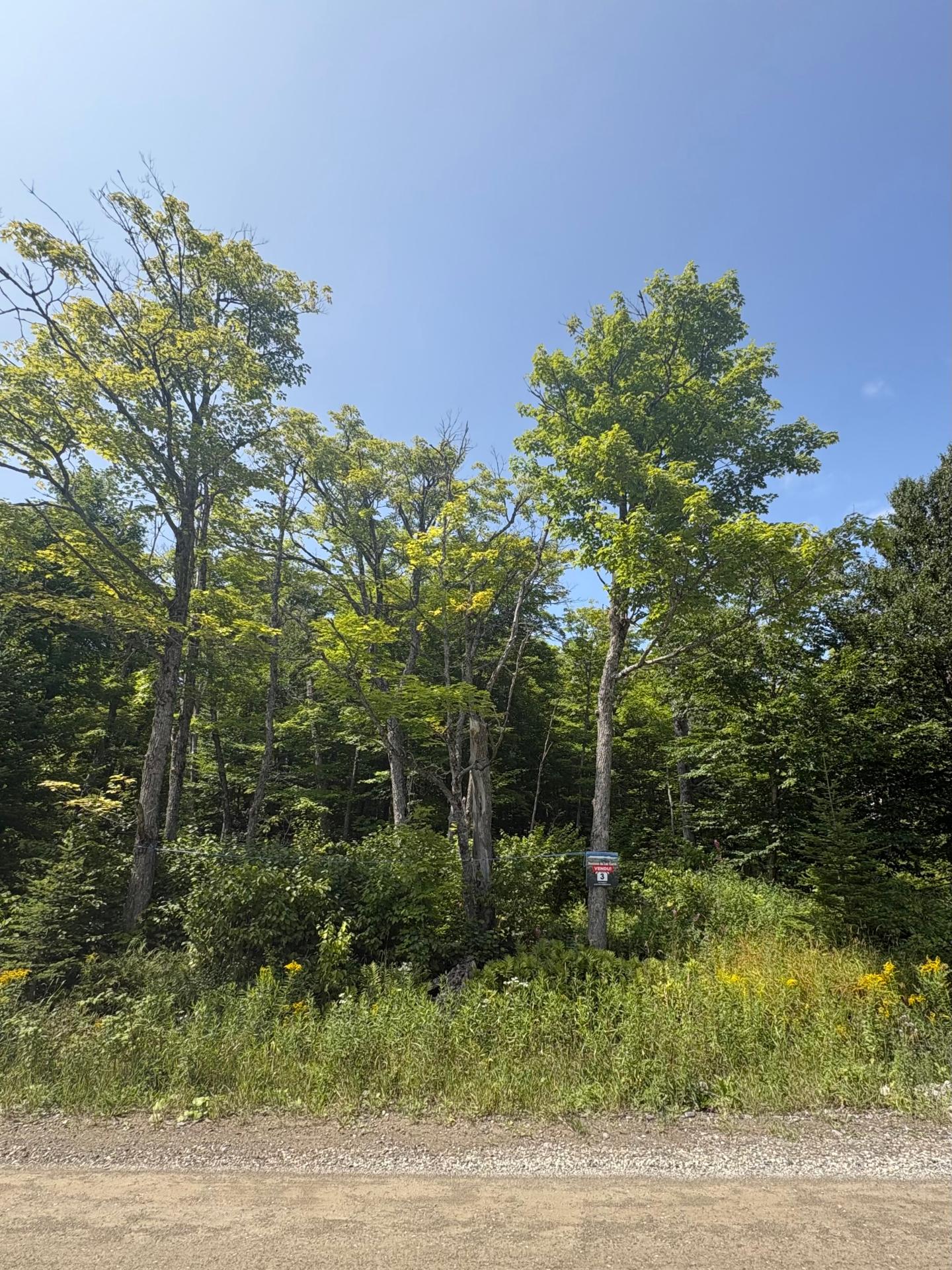 Land/Lot