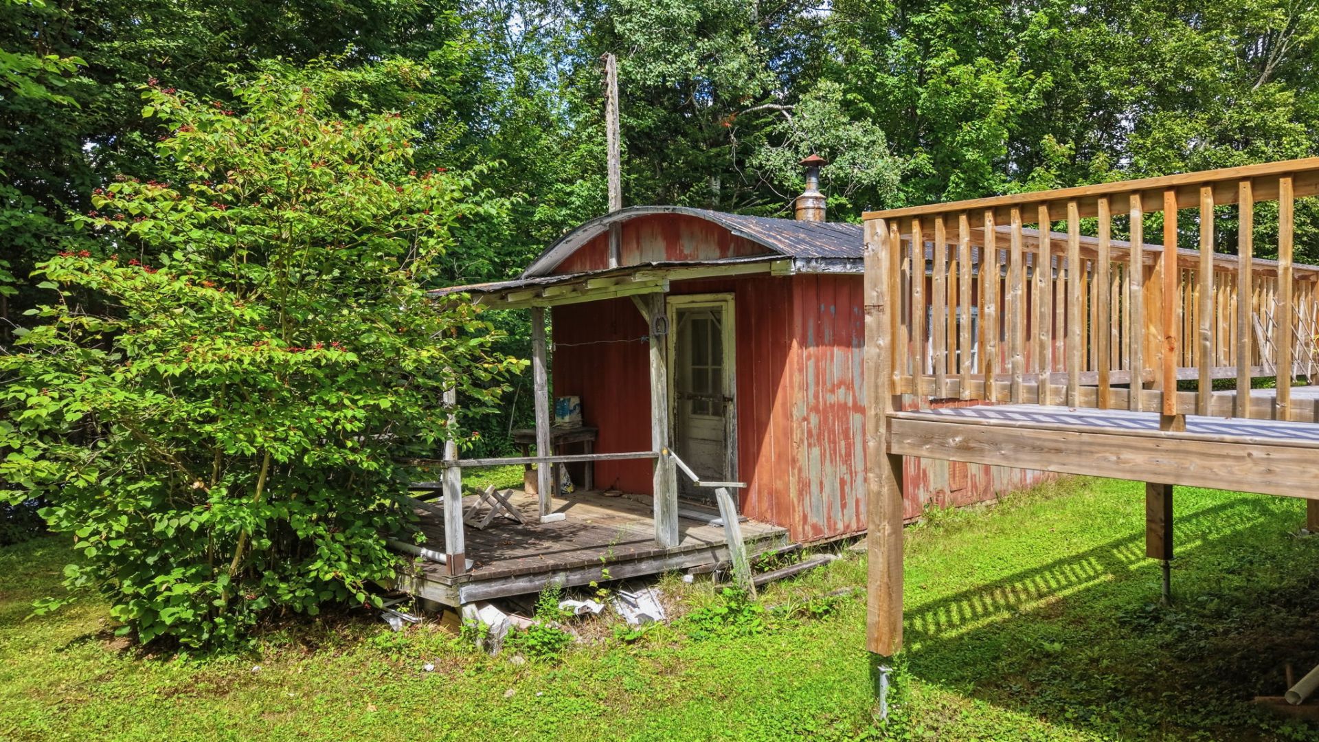 Shed
