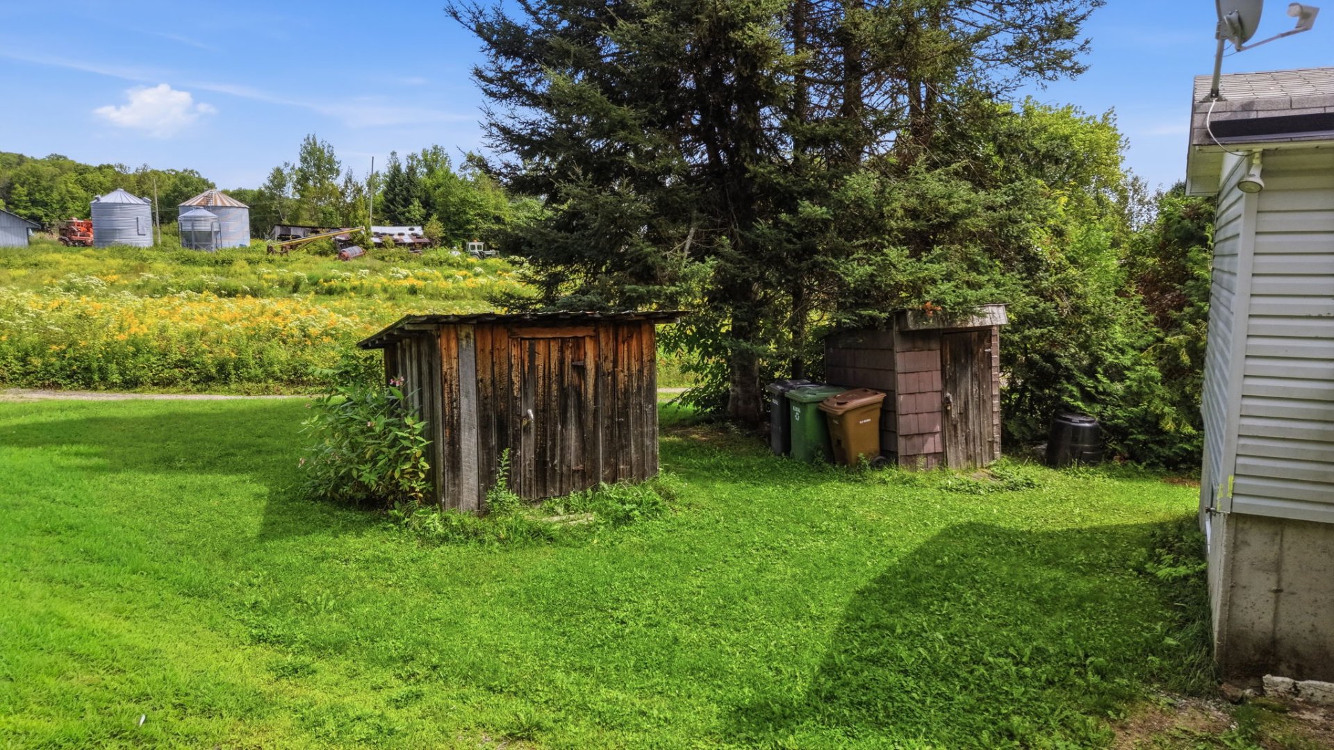 Shed