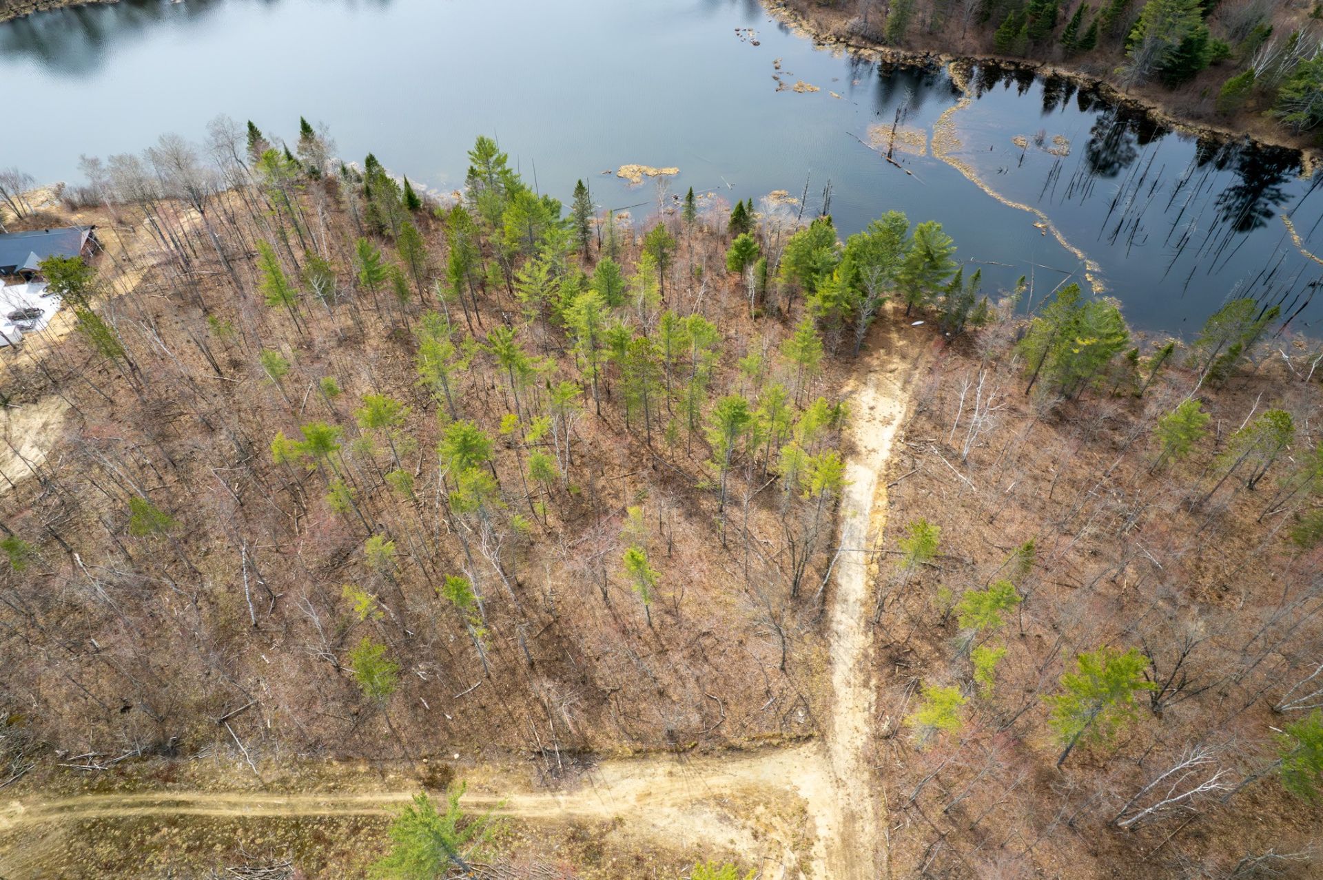 Land/Lot