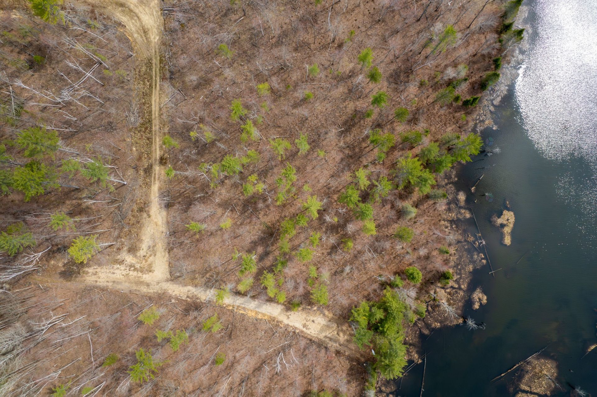 Land/Lot