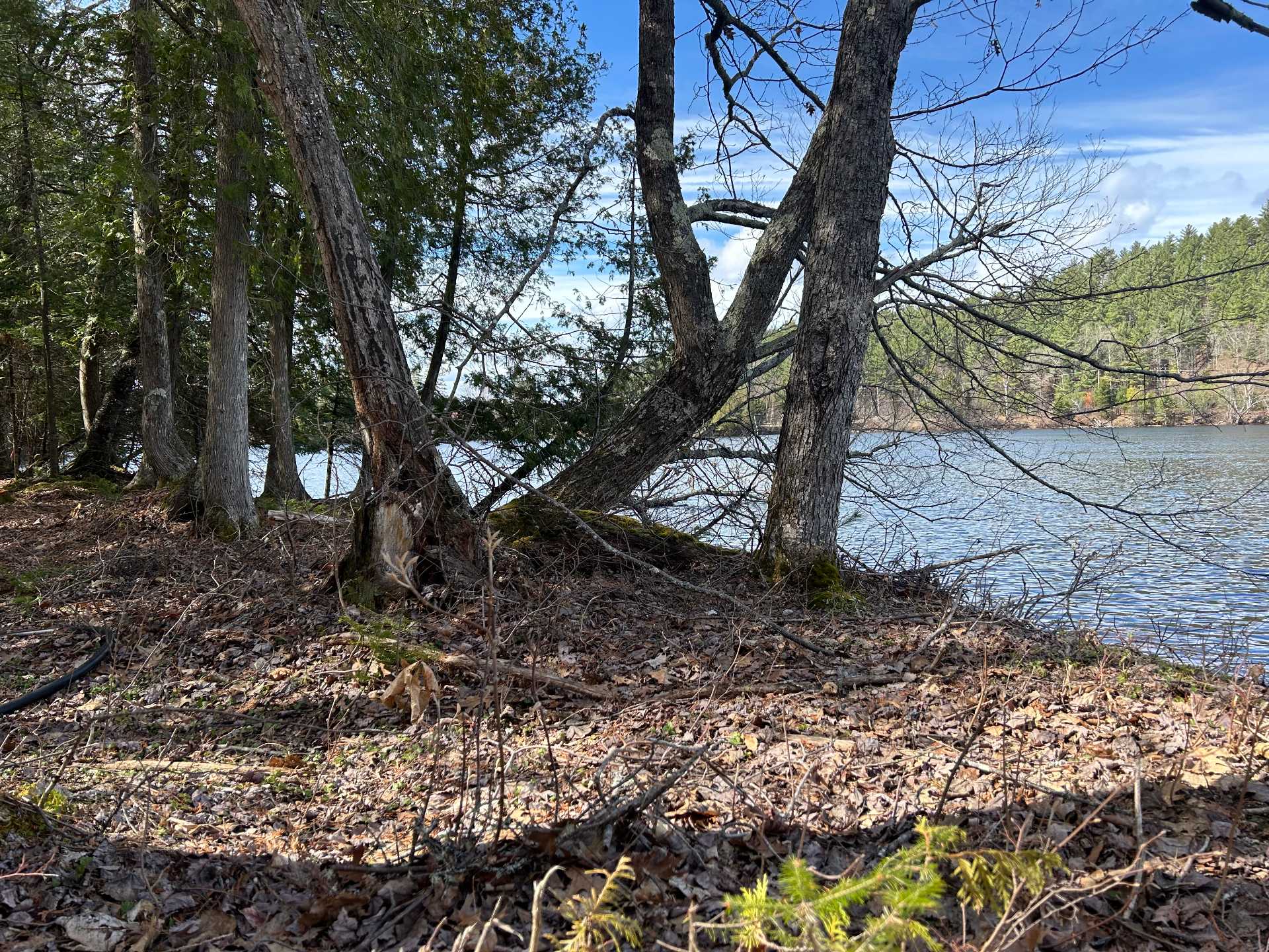 Land/Lot