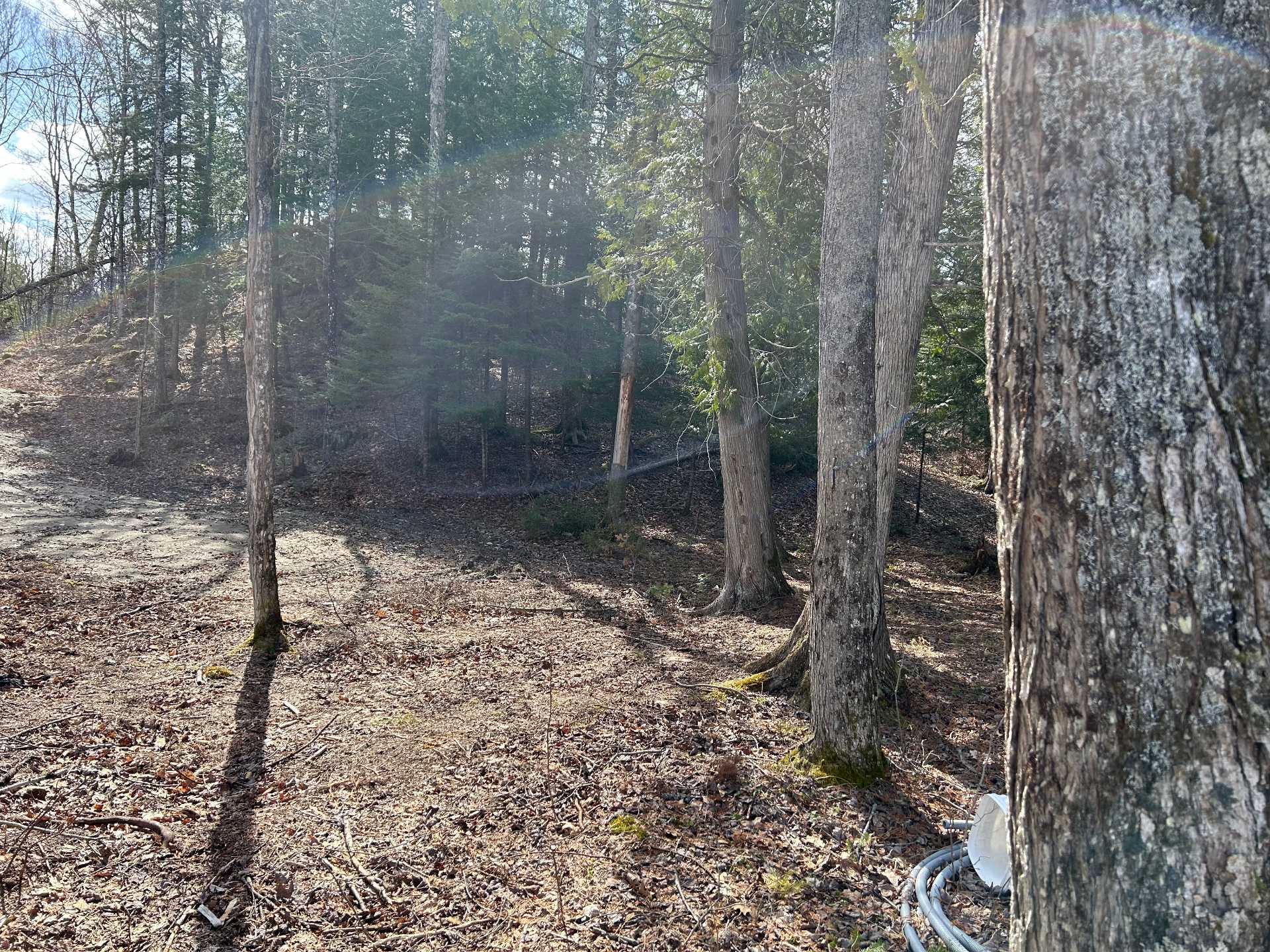 Land/Lot