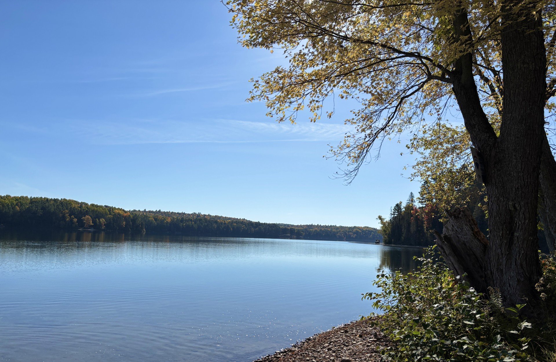 Bord de l'eau
