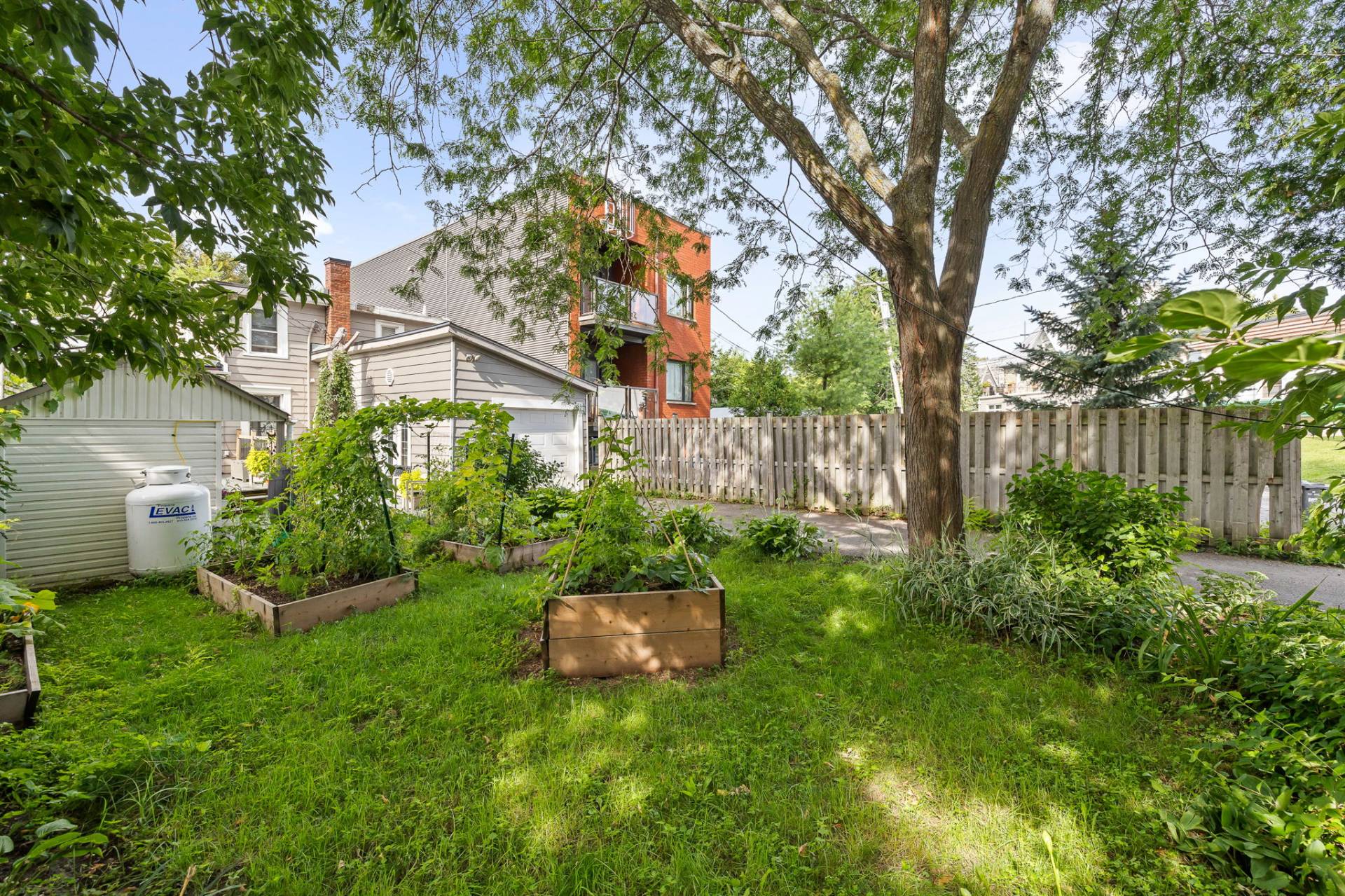 Backyard