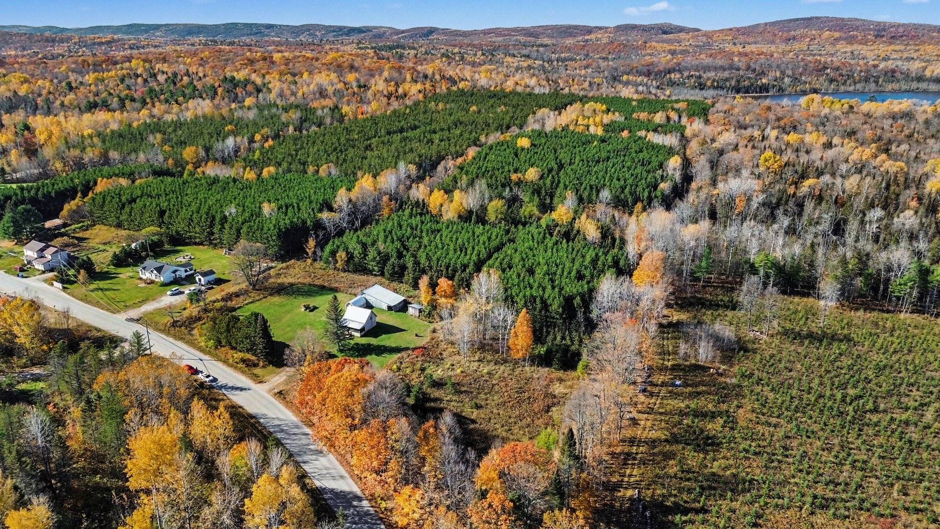 Land/Lot