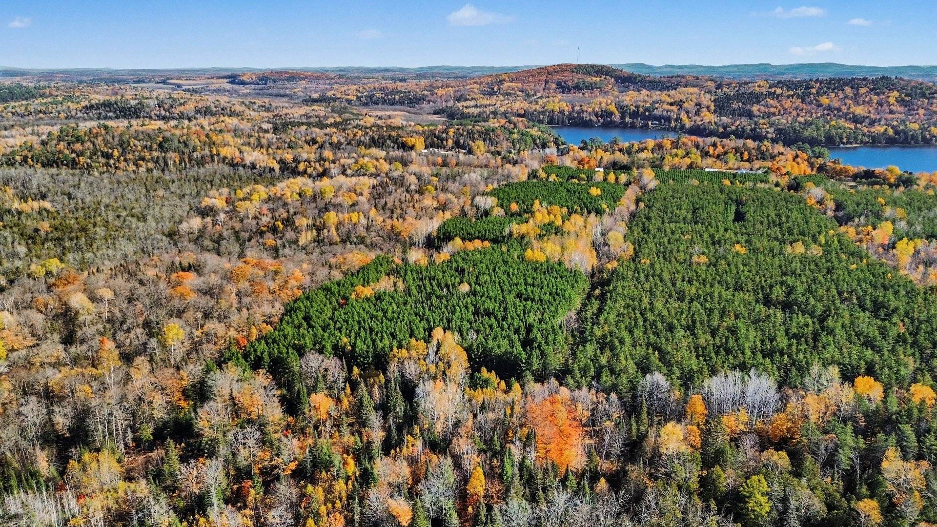 Land/Lot