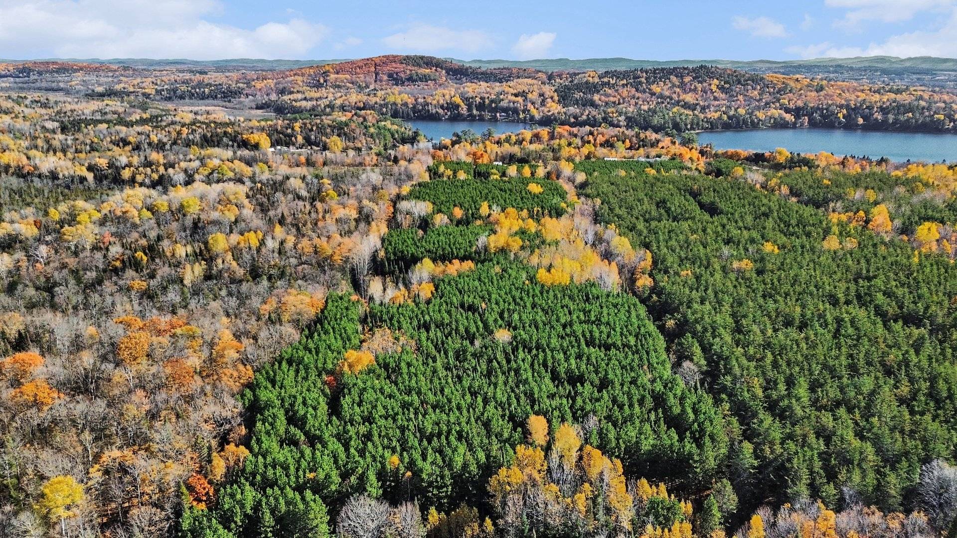 Land/Lot