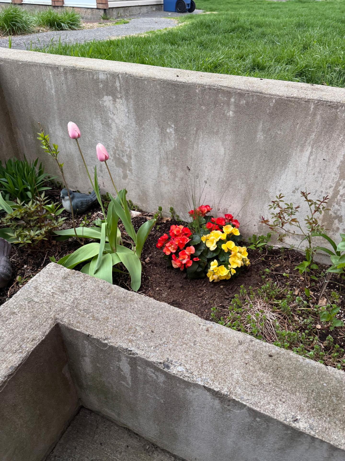 Extérieur - Photo d'été