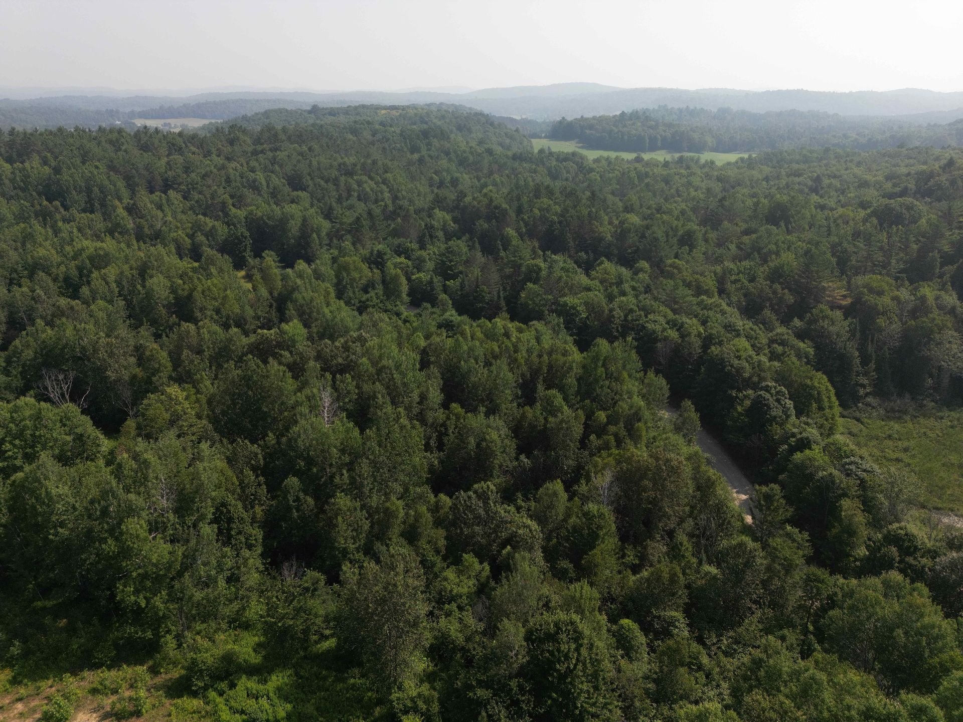 Overall View