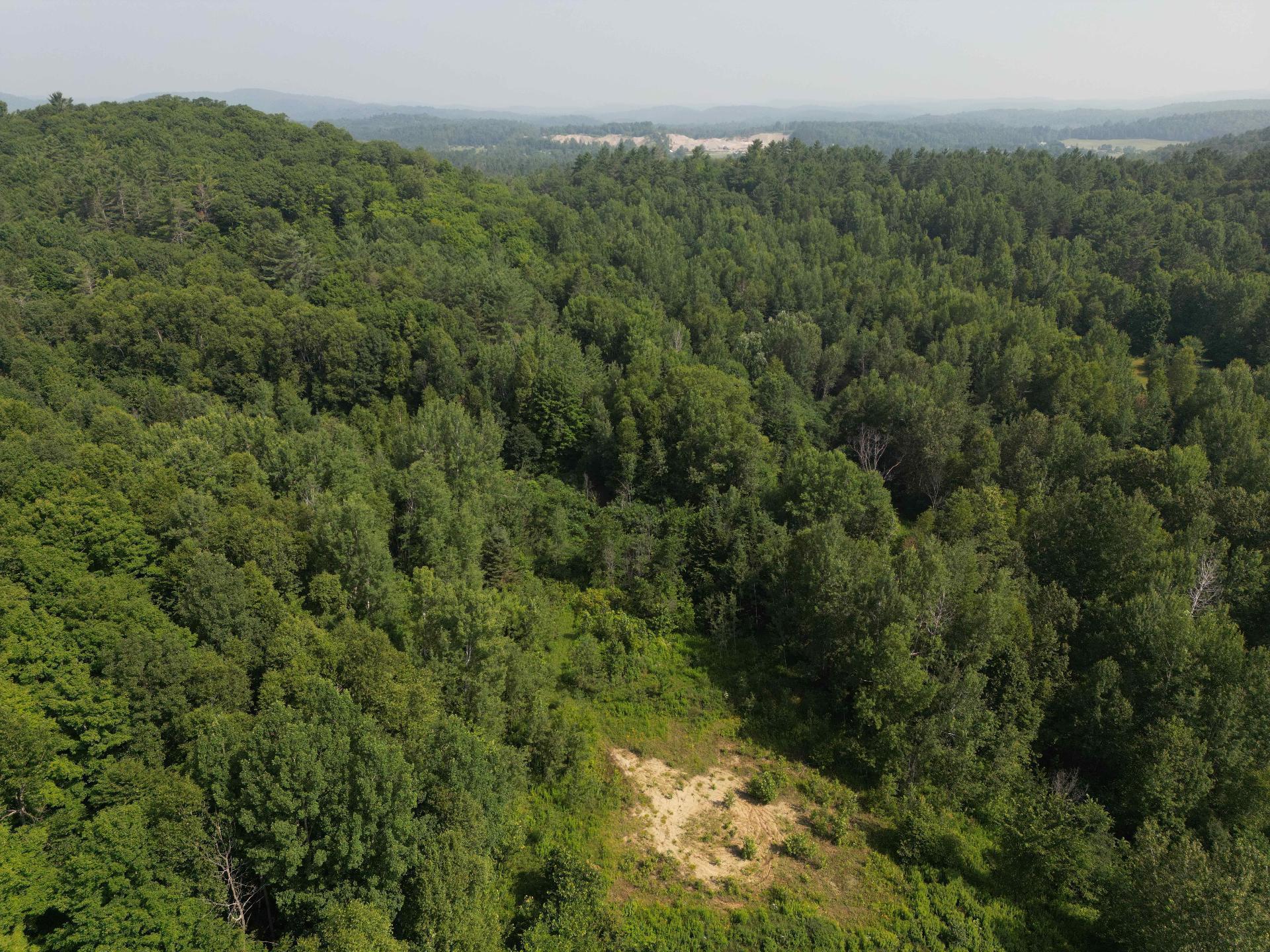 Overall View